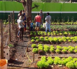 6 visita a horta familia na escola