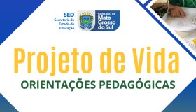 Capa projeto de vida, Orientações pedagógicas.