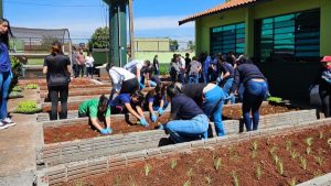 Professores e estudantes na produção de hortaliças.