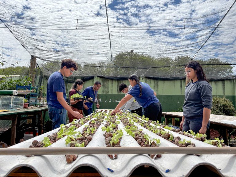 estudantes na horta.