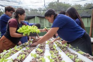 estudantes com mudas.