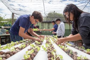estudantes com mudas.