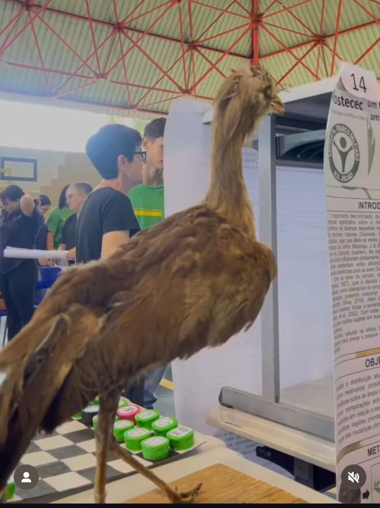 Mostra Tecnológica Científica e Cultural da EE Padre Franco Delpiano será neste sábado (8)