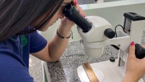 Projeto de monitoramento do Aedes Aegypti rendeu primeiro lugar na Fetec/MS à escola EE Professora Nair Palácio de Souza de Nova Andradina