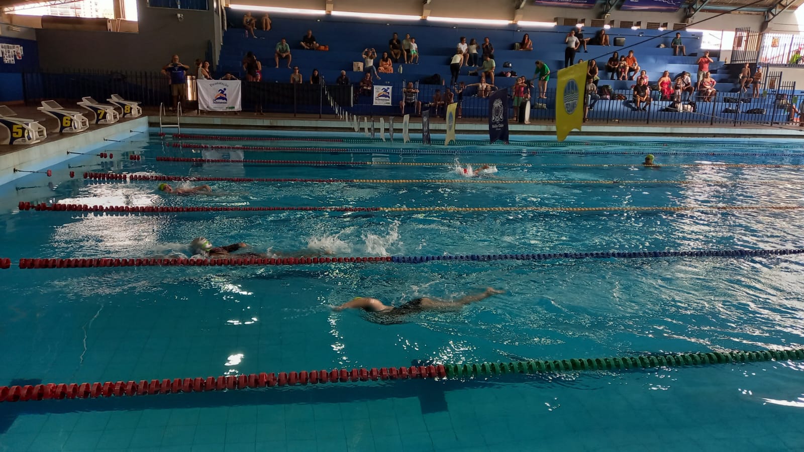 Imagem destacada do Festival de Nataçaõ do prodesc no Rádio Clube Campo.