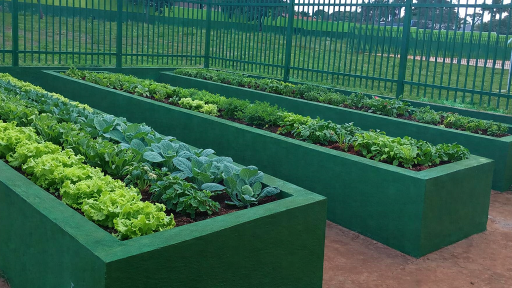 Escola inicia projeto de Educação Ambiental e Patrimonial ao celebrar 41 anos de história