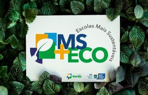 Logo MS+Eco