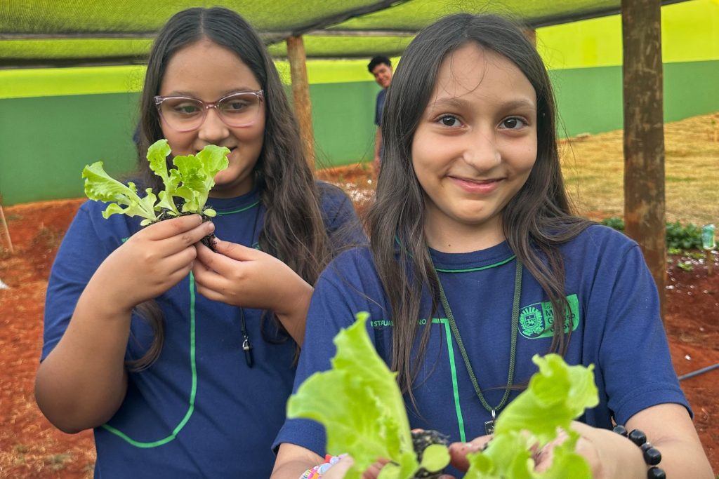 Escola de Campo Grande une sustentabilidade e tecnologia em horta escolar automatizada