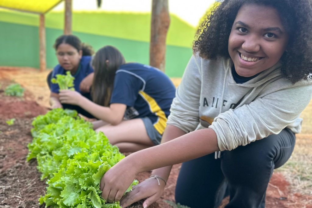 Escola de Campo Grande une sustentabilidade e tecnologia em horta escolar automatizada