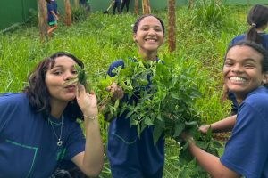 Escola de Campo Grande une sustentabilidade e tecnologia em horta escolar automatizada