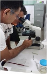 viriato microscópio